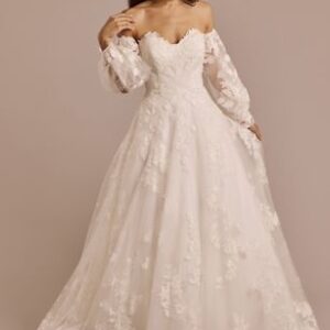 Lace Applique Gown with Removable Billow Sleeves | David’s Bridal